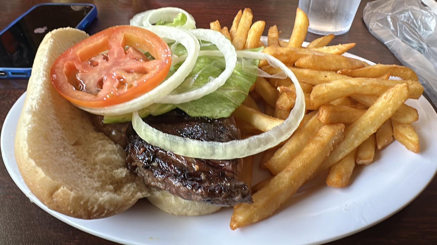 Grilled beef on a bun with lettuce, tomato and raw onion, served with a plate of fries.